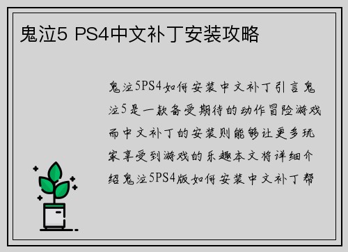 鬼泣5 PS4中文补丁安装攻略